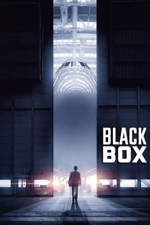 Boxed 2021 Hindi Movie – [330MB] Movie Poster