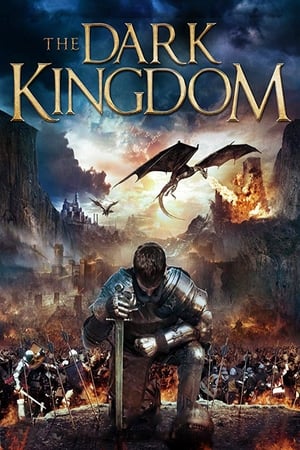 Dragon Kingdom (2018) Hindi Dual Audio 300MB Movie Poster