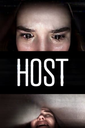 Host 2020 Hindi Dual Audio 220MB Movie Poster