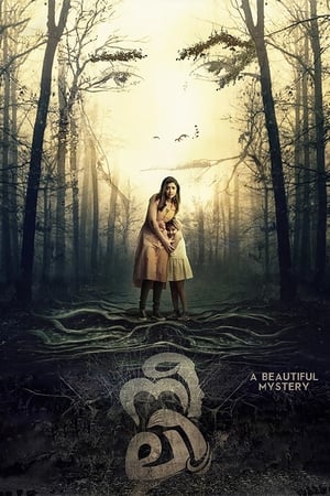 Neeli (2018) (Hindi – Malayalam) Dual Audio [1.2GB] Movie Poster