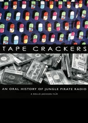 Pirate Radio (2009) Hindi Dual Audio [1GB] Movie Poster
