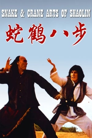 Snake and Crane Arts of Shaolin 1978 Hindi Dual Audio [980MB] Movie Poster