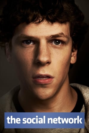 The Social Network 2010 Hindi Dual Audio 400MB Movie Poster